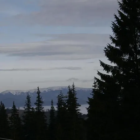 Gæstehus Na Velykim Yaremche