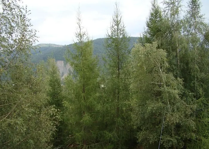 Na Velykim